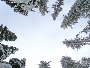 winter-sky-1