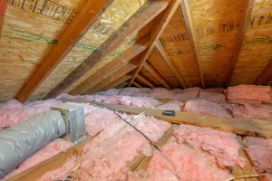 Attic Cleaning and Energy Upgrade