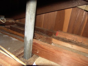 Small Space Attic Cleaning - San Diego