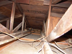 Small Space Attic Cleaning - San Diego