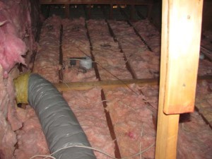 Severe Infestation Attic Cleanup – Santa Clara