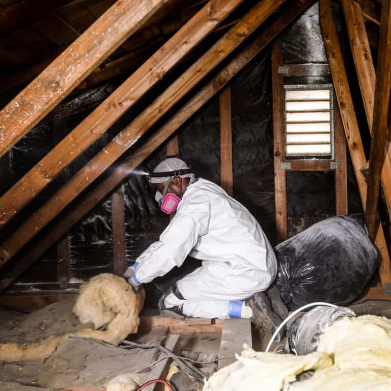 Attic Insulation Removal Local Attic Cleaning and Insulation Removal
